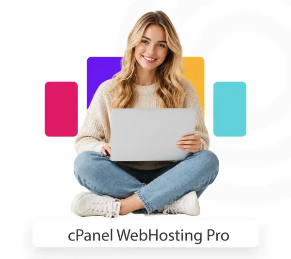Professional Web Hosting